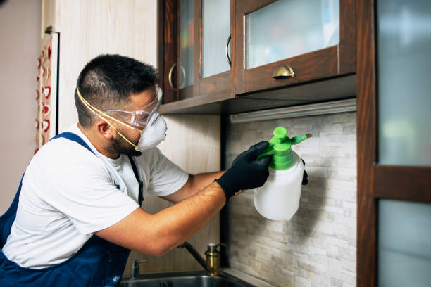 Best Fumigation Services  in USA